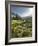 Hochmoor at the Prebersee, Salzburg, Austria-Rainer Mirau-Framed Photographic Print