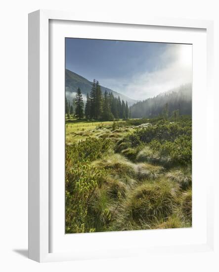 Hochmoor at the Prebersee, Salzburg, Austria-Rainer Mirau-Framed Photographic Print