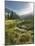 Hochmoor at the Prebersee, Salzburg, Austria-Rainer Mirau-Mounted Photographic Print