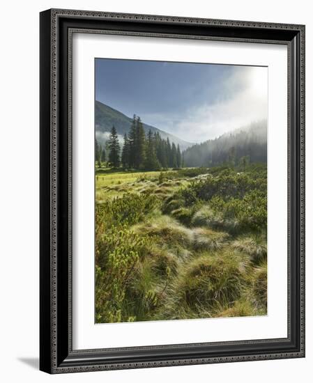 Hochmoor at the Prebersee, Salzburg, Austria-Rainer Mirau-Framed Photographic Print