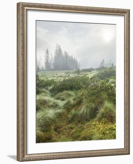 Hochmoor at the Prebersee, Salzburg, Austria-Rainer Mirau-Framed Photographic Print