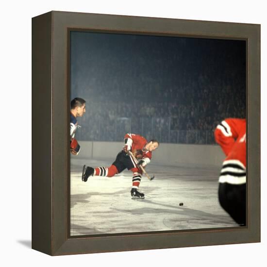 Hockey: Chicago Blackhawks Bobby Hull No.9 in Action, Shooting vs. NY Rangers-Bill Eppridge-Framed Premier Image Canvas