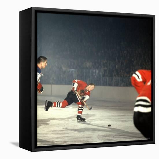 Hockey: Chicago Blackhawks Bobby Hull No.9 in Action, Shooting vs. NY Rangers-Bill Eppridge-Framed Premier Image Canvas