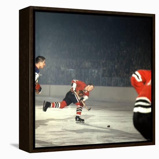 Hockey: Chicago Blackhawks Bobby Hull No.9 in Action, Shooting vs. NY Rangers-Bill Eppridge-Framed Premier Image Canvas