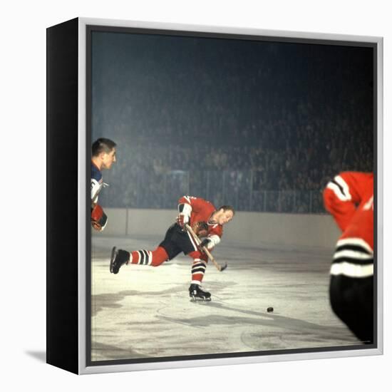 Hockey: Chicago Blackhawks Bobby Hull No.9 in Action, Shooting vs. NY Rangers-Bill Eppridge-Framed Premier Image Canvas