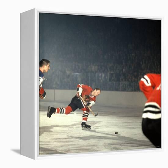 Hockey: Chicago Blackhawks Bobby Hull No.9 in Action, Shooting vs. NY Rangers-Bill Eppridge-Framed Premier Image Canvas