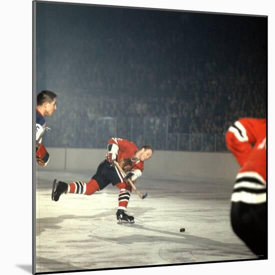 Hockey: Chicago Blackhawks Bobby Hull No.9 in Action, Shooting vs. NY Rangers-Bill Eppridge-Mounted Premium Photographic Print