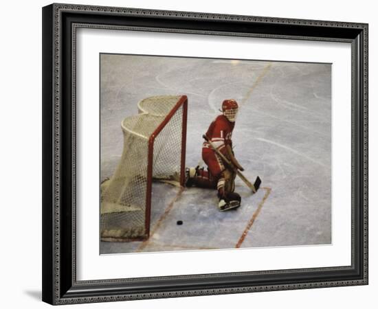 Hockey Goalie-null-Framed Photographic Print