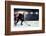 Hockey Match at Rink  . Mixed Media-Sergey Nivens-Framed Photographic Print