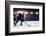 Hockey Match at Rink  . Mixed Media-Sergey Nivens-Framed Photographic Print