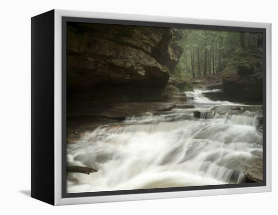 Hocking Hills State Park, Ohio, United States of America, North America-Michael Snell-Framed Premier Image Canvas