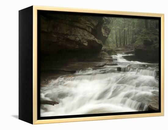 Hocking Hills State Park, Ohio, United States of America, North America-Michael Snell-Framed Premier Image Canvas