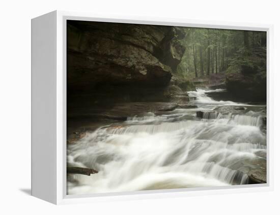 Hocking Hills State Park, Ohio, United States of America, North America-Michael Snell-Framed Premier Image Canvas