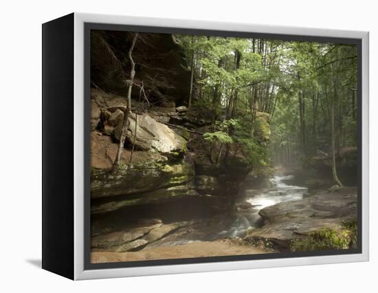 Hocking Hills State Park, Ohio, United States of America, North America-Michael Snell-Framed Premier Image Canvas