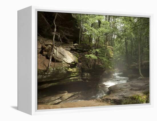 Hocking Hills State Park, Ohio, United States of America, North America-Michael Snell-Framed Premier Image Canvas