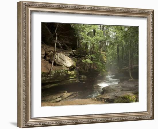 Hocking Hills State Park, Ohio, United States of America, North America-Michael Snell-Framed Photographic Print