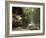 Hocking Hills State Park, Ohio, United States of America, North America-Michael Snell-Framed Photographic Print