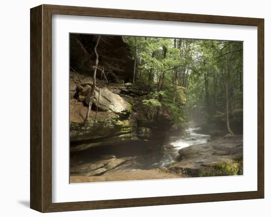 Hocking Hills State Park, Ohio, United States of America, North America-Michael Snell-Framed Photographic Print