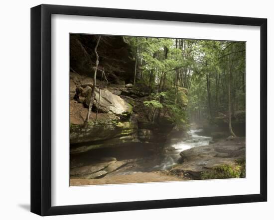 Hocking Hills State Park, Ohio, United States of America, North America-Michael Snell-Framed Photographic Print