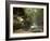 Hocking Hills State Park, Ohio, United States of America, North America-Michael Snell-Framed Photographic Print