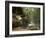 Hocking Hills State Park, Ohio, United States of America, North America-Michael Snell-Framed Photographic Print