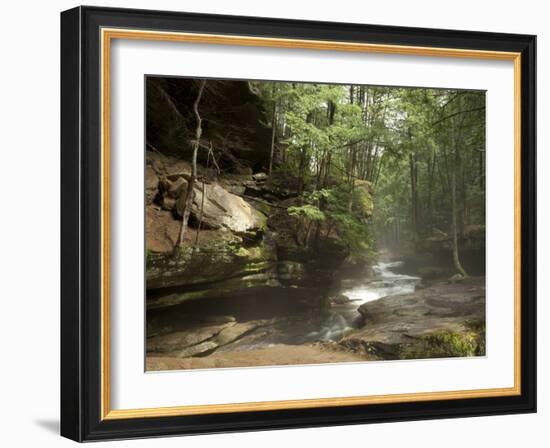 Hocking Hills State Park, Ohio, United States of America, North America-Michael Snell-Framed Photographic Print