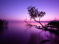 Sunset Lake. this Photo Make in Hungary. Sunset Whit Balaton-hofhauser-Framed Photographic Print