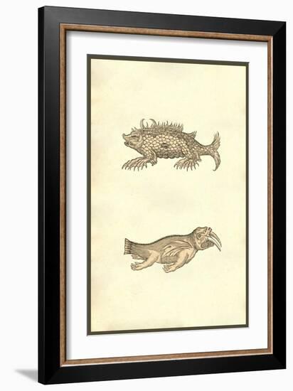 Hog & Elephant Sea Monsters-Ulisse Aldrovandi-Framed Art Print