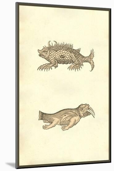 Hog & Elephant Sea Monsters-Ulisse Aldrovandi-Mounted Art Print