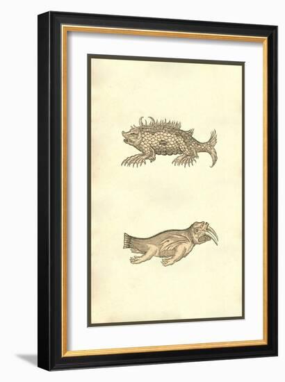 Hog & Elephant Sea Monsters-Ulisse Aldrovandi-Framed Art Print