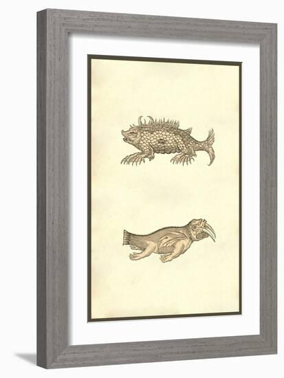 Hog & Elephant Sea Monsters-Ulisse Aldrovandi-Framed Premium Giclee Print