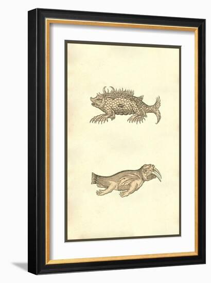 Hog & Elephant Sea Monsters-Ulisse Aldrovandi-Framed Premium Giclee Print