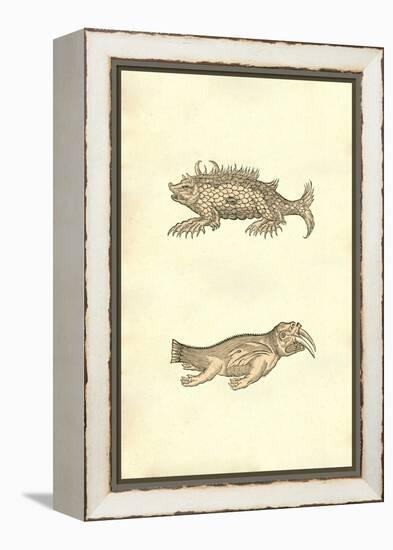 Hog & Elephant Sea Monsters-Ulisse Aldrovandi-Framed Stretched Canvas