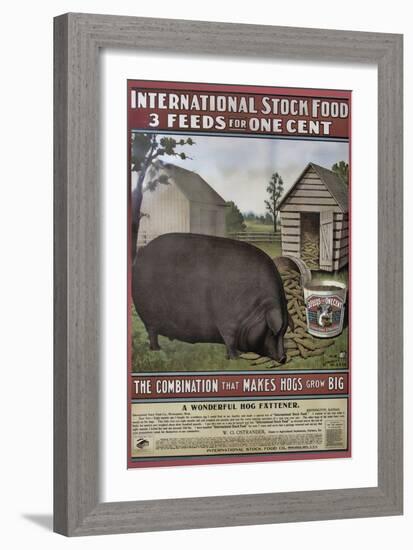 Hog Food-null-Framed Giclee Print