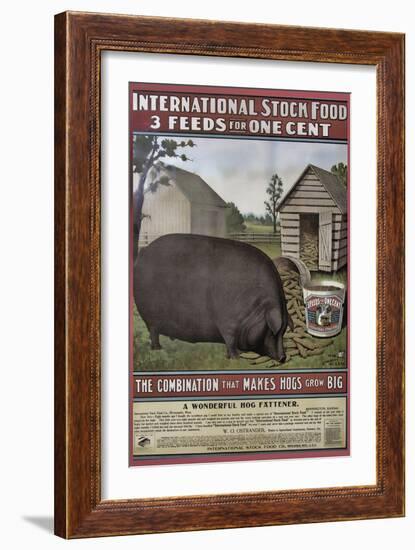 Hog Food-null-Framed Giclee Print