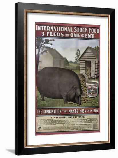 Hog Food-null-Framed Giclee Print