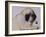 Hogarth, 1982-Brenda Brin Booker-Framed Giclee Print