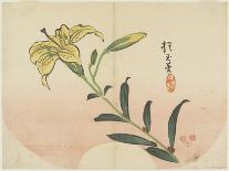 Ducks, C. 1830-Hogyoku-Giclee Print