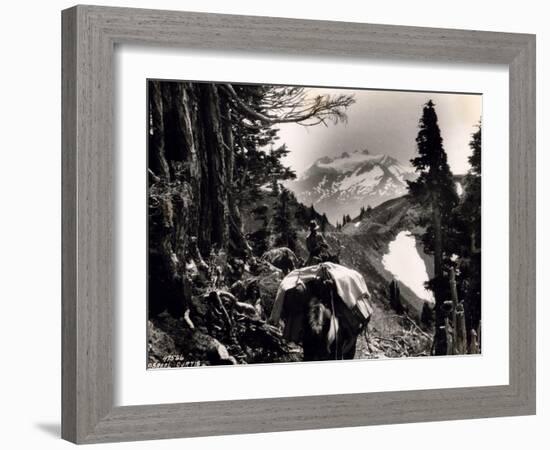 Hoh-Solduc Trail, Olympic Peninsula, Undated-Asahel Curtis-Framed Giclee Print