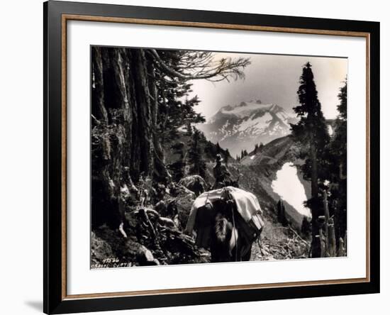 Hoh-Solduc Trail, Olympic Peninsula, Undated-Asahel Curtis-Framed Giclee Print