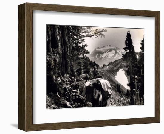 Hoh-Solduc Trail, Olympic Peninsula, Undated-Asahel Curtis-Framed Giclee Print