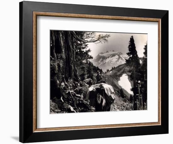 Hoh-Solduc Trail, Olympic Peninsula, Undated-Asahel Curtis-Framed Giclee Print