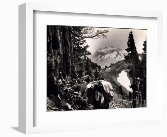 Hoh-Solduc Trail, Olympic Peninsula, Undated-Asahel Curtis-Framed Giclee Print