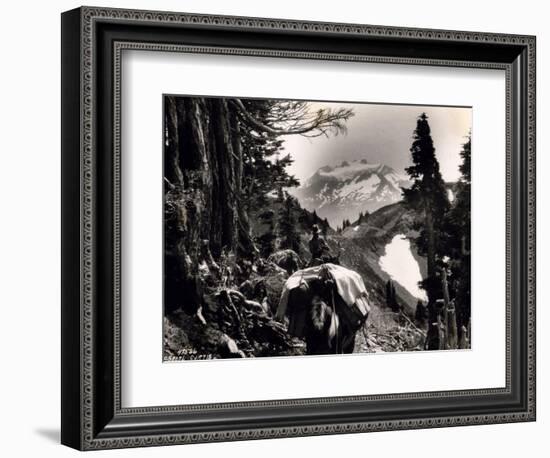 Hoh-Solduc Trail, Olympic Peninsula, Undated-Asahel Curtis-Framed Giclee Print