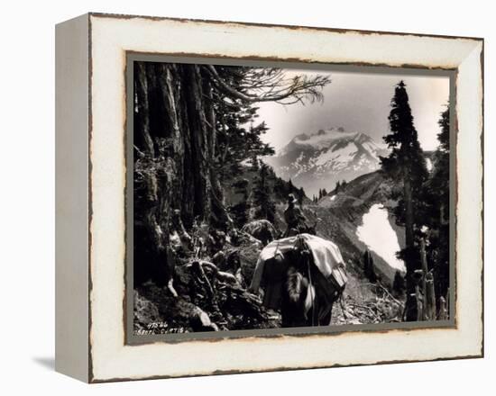 Hoh-Solduc Trail, Olympic Peninsula, Undated-Asahel Curtis-Framed Premier Image Canvas