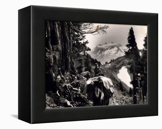 Hoh-Solduc Trail, Olympic Peninsula, Undated-Asahel Curtis-Framed Premier Image Canvas