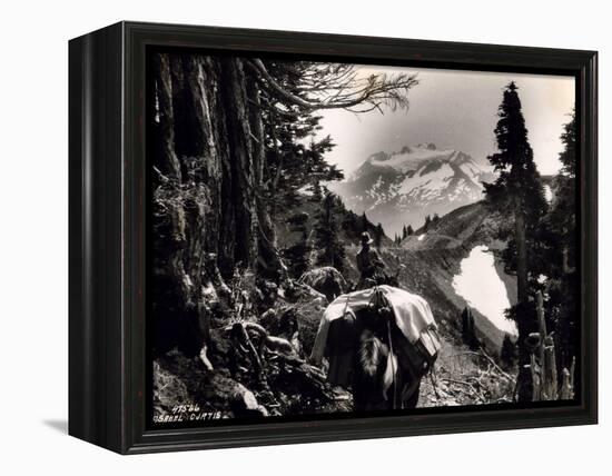 Hoh-Solduc Trail, Olympic Peninsula, Undated-Asahel Curtis-Framed Premier Image Canvas