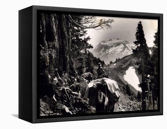 Hoh-Solduc Trail, Olympic Peninsula, Undated-Asahel Curtis-Framed Premier Image Canvas