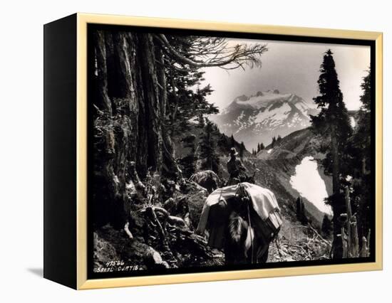 Hoh-Solduc Trail, Olympic Peninsula, Undated-Asahel Curtis-Framed Premier Image Canvas