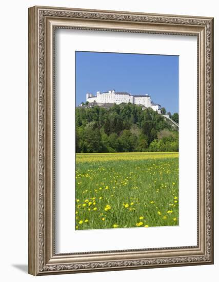 Hohensalzburg Fortress, Salzburg, Salzburger Land, Austria, Europe-Markus Lange-Framed Photographic Print